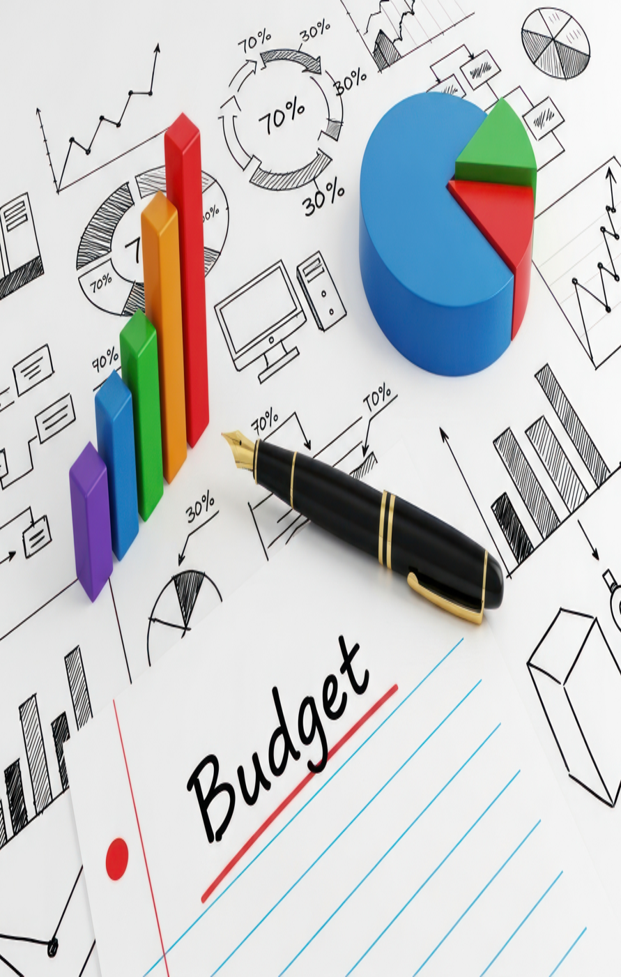 Budget text with pen and graphs