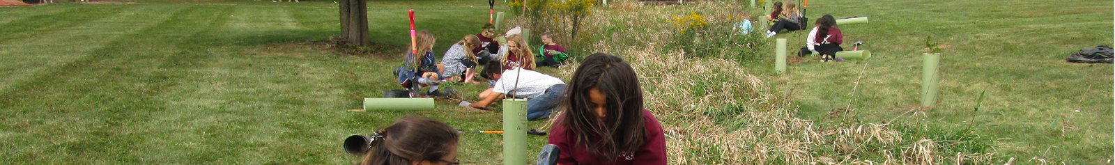 Image of a Class Planting Trees