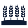 Icon of Wheat